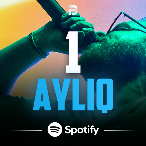 Spotify Premium 1 AY