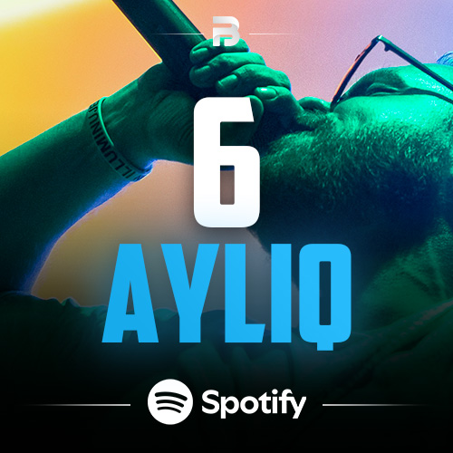 Spotify Premium 6 AY