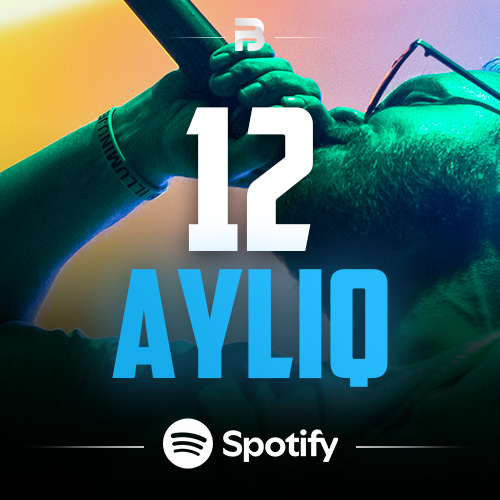 Spotify Premium 12 AY